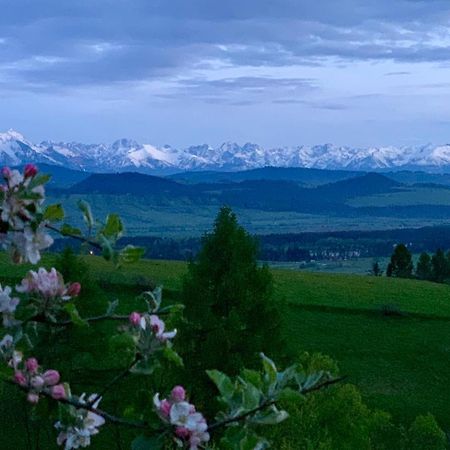 Koza U Woza Wypocznij W Gorach W Rytmie Slow Drewniany Dom Premium Z Widokiem Na Panorame Tatr Ecospa Strefa Fitness Zielona Farma Warsztaty (Adults Only) Szlembark Eksteriør billede
