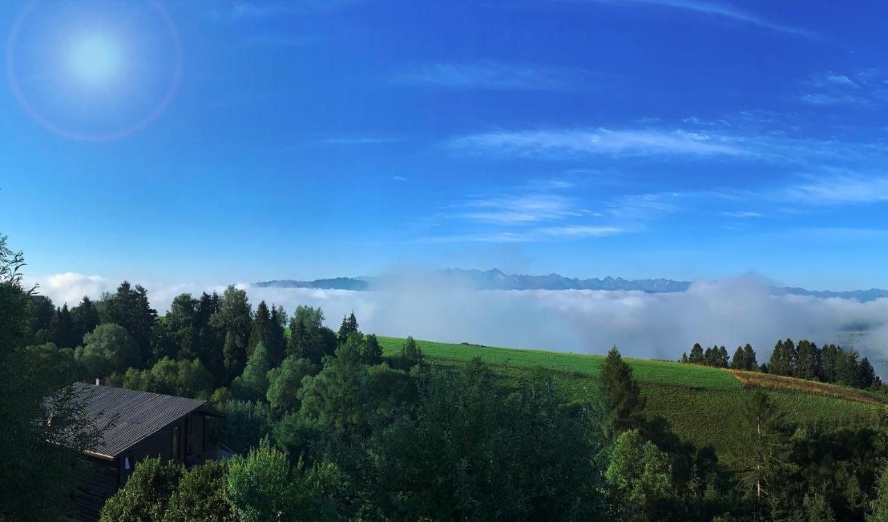 Koza U Woza Wypocznij W Gorach W Rytmie Slow Drewniany Dom Premium Z Widokiem Na Panorame Tatr Ecospa Strefa Fitness Zielona Farma Warsztaty (Adults Only) Szlembark Eksteriør billede
