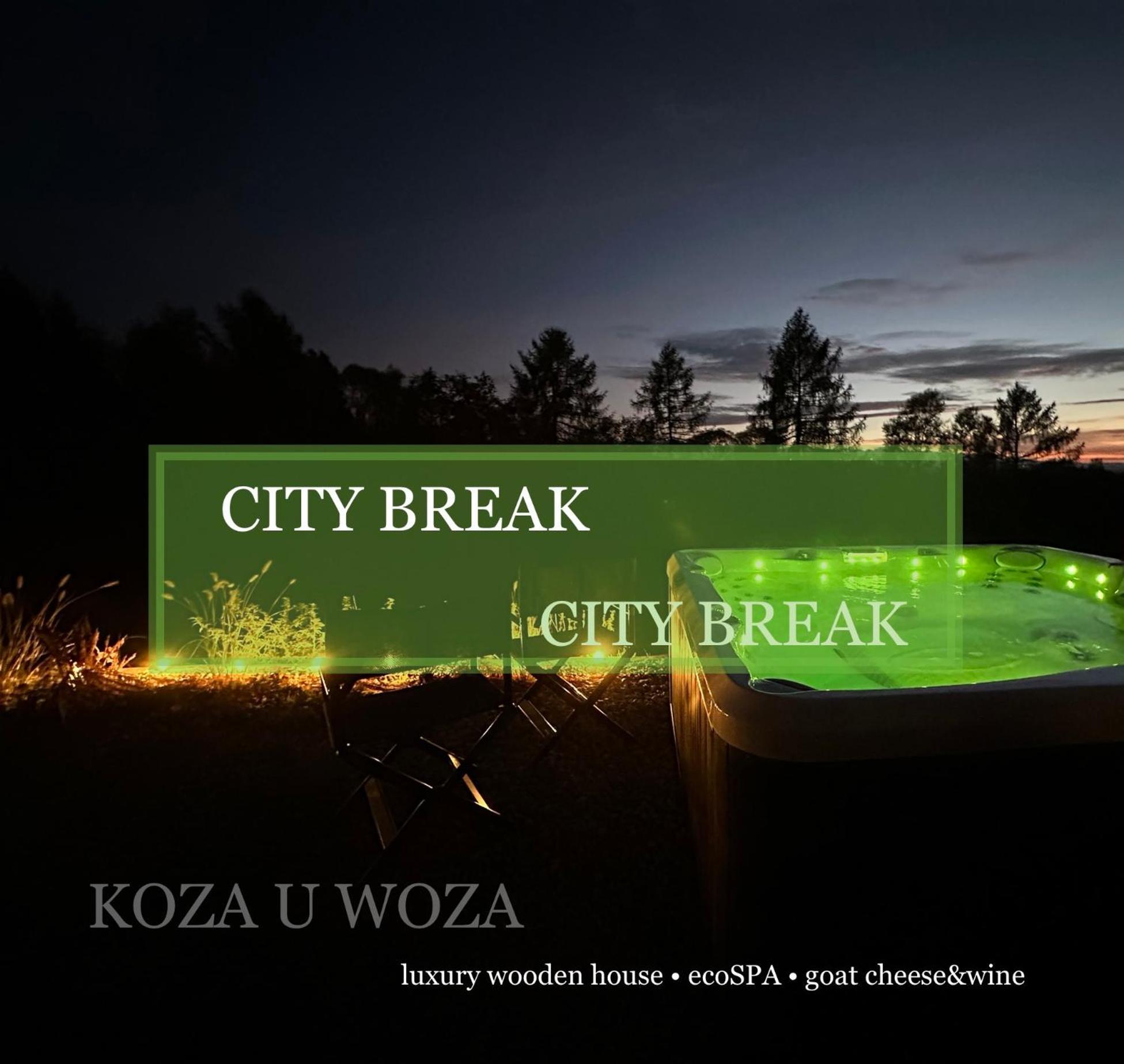 Koza U Woza Wypocznij W Gorach W Rytmie Slow Drewniany Dom Premium Z Widokiem Na Panorame Tatr Ecospa Strefa Fitness Zielona Farma Warsztaty (Adults Only) Szlembark Eksteriør billede
