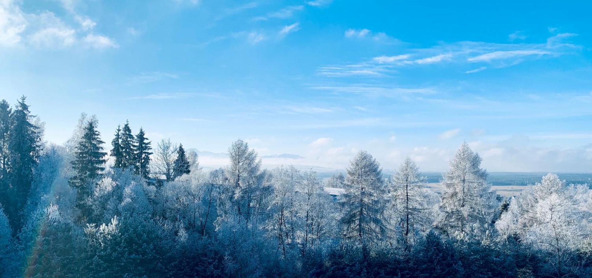 Koza U Woza Wypocznij W Gorach W Rytmie Slow Drewniany Dom Premium Z Widokiem Na Panorame Tatr Ecospa Strefa Fitness Zielona Farma Warsztaty (Adults Only) Szlembark Eksteriør billede