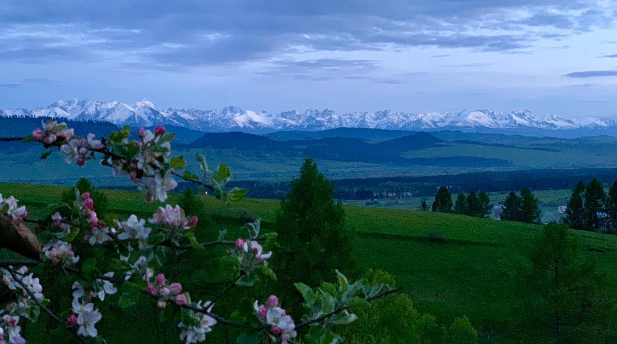 Koza U Woza Wypocznij W Gorach W Rytmie Slow Drewniany Dom Premium Z Widokiem Na Panorame Tatr Ecospa Strefa Fitness Zielona Farma Warsztaty (Adults Only) Szlembark Eksteriør billede