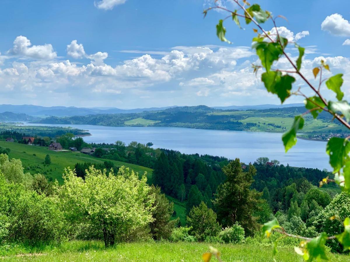 Koza U Woza Wypocznij W Gorach W Rytmie Slow Drewniany Dom Premium Z Widokiem Na Panorame Tatr Ecospa Strefa Fitness Zielona Farma Warsztaty (Adults Only) Szlembark Eksteriør billede